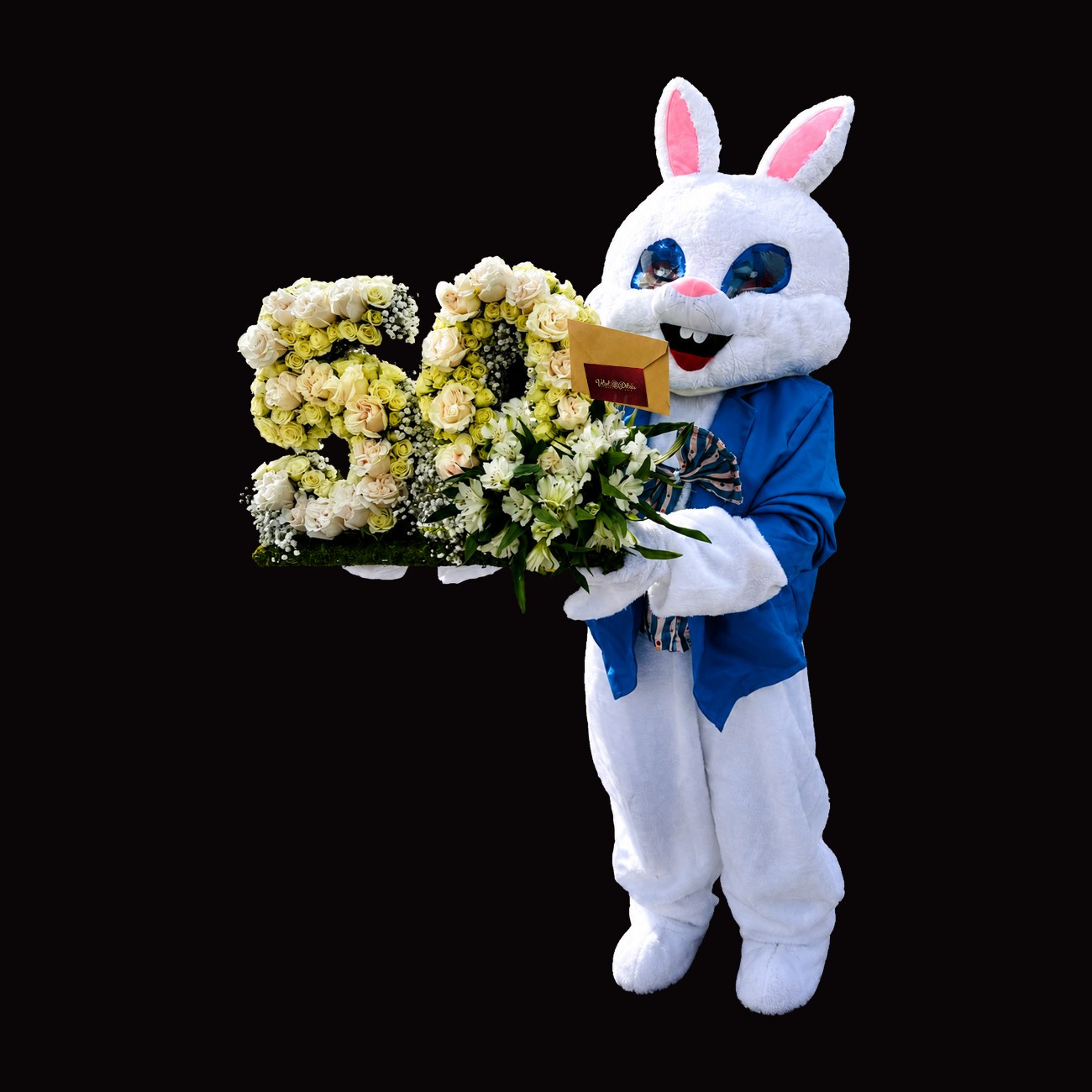 Velvet Teddy Surprise — conejo